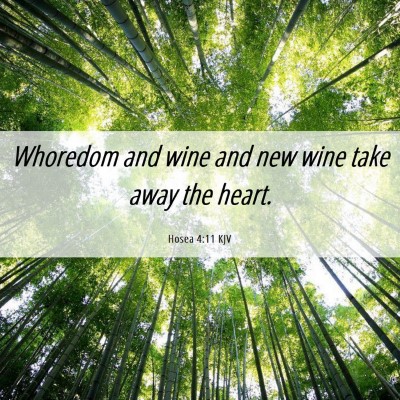 Picture 06 - Hosea 4:11 KJV - Whoredom and wine and new wine take away the - Bible Verse Picture