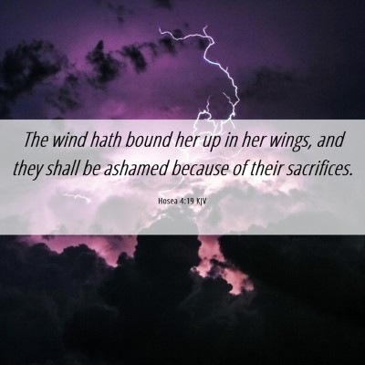 Picture 06 - Hosea 4:19 KJV - The wind hath bound her up in her wings, and they - Bible Verse Picture