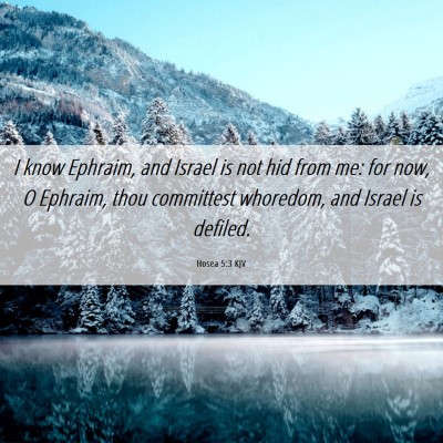 Picture 06 - Hosea 5:3 KJV - I know Ephraim, and Israel is not hid from me: - Bible Verse Picture