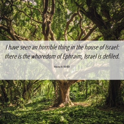 Picture 06 - Hosea 6:10 KJV - I have seen an horrible thing in the house of - Bible Verse Picture
