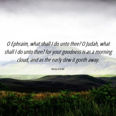 Picture 06 - Hosea 6:4 KJV - O Ephraim, what shall I do unto thee? O Judah, - Bible Verse Picture