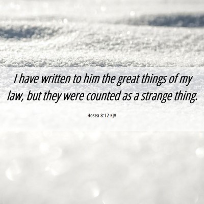 Picture 06 - Hosea 8:12 KJV - I have written to him the great things of my law, - Bible Verse Picture