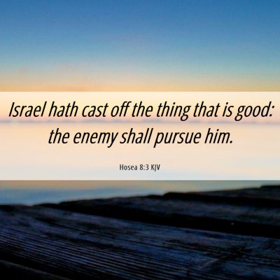 Picture 06 - Hosea 8:3 KJV - Israel hath cast off the thing that is good: the - Bible Verse Picture