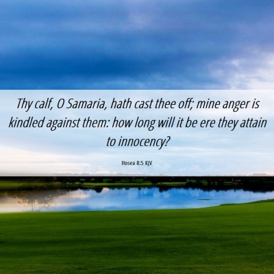 Picture 06 - Hosea 8:5 KJV - Thy calf, O Samaria, hath cast thee off; mine - Bible Verse Picture