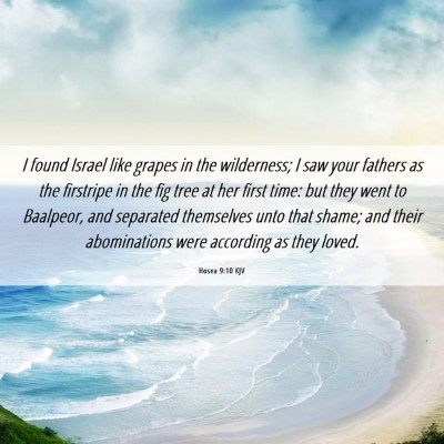 Picture 06 - Hosea 9:10 KJV - I found Israel like grapes in the wilderness; I - Bible Verse Picture