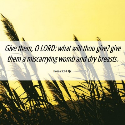 Picture 06 - Hosea 9:14 KJV - Give them, O LORD: what wilt thou give? give them - Bible Verse Picture