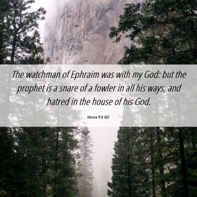 Picture 06 - Hosea 9:8 KJV - The watchman of Ephraim was with my God: but the - Bible Verse Picture