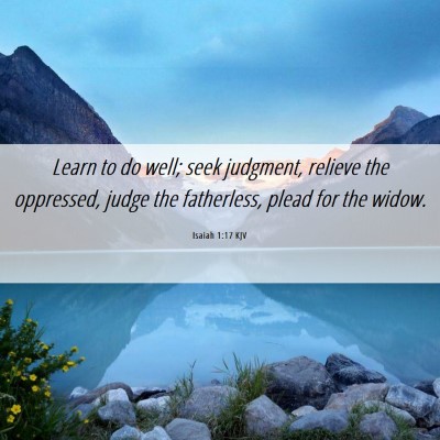 Picture 06 - Isaiah 1:17 KJV - Learn to do well; seek judgment, relieve the - Bible Verse Picture