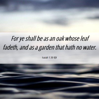 Picture 06 - Isaiah 1:30 KJV - For ye shall be as an oak whose leaf fadeth, and - Bible Verse Picture