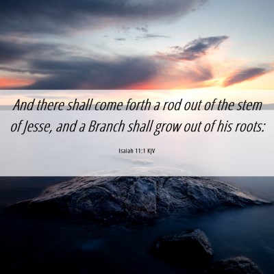 Picture 06 - Isaiah 11:1 KJV - And there shall come forth a rod out of the stem - Bible Verse Picture