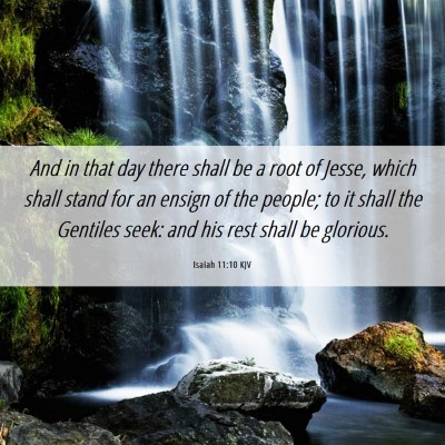 Picture 06 - Isaiah 11:10 KJV - And in that day there shall be a root of Jesse, - Bible Verse Picture