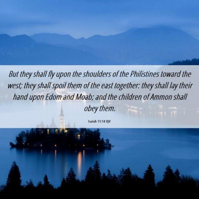Picture 06 - Isaiah 11:14 KJV - But they shall fly upon the shoulders of the - Bible Verse Picture