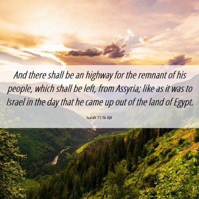 Picture 06 - Isaiah 11:16 KJV - And there shall be an highway for the remnant of - Bible Verse Picture