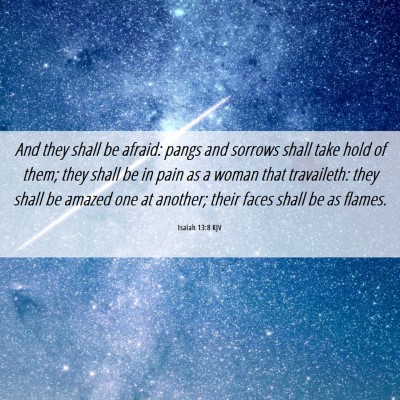 Picture 06 - Isaiah 13:8 KJV - And they shall be afraid: pangs and sorrows shall - Bible Verse Picture