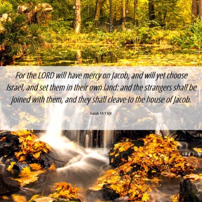 Picture 06 - Isaiah 14:1 KJV - For the LORD will have mercy on Jacob, and will - Bible Verse Picture
