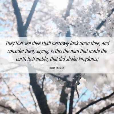 Picture 06 - Isaiah 14:16 KJV - They that see thee shall narrowly look upon thee, - Bible Verse Picture
