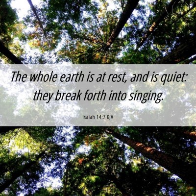Picture 06 - Isaiah 14:7 KJV - The whole earth is at rest, and is quiet: they - Bible Verse Picture