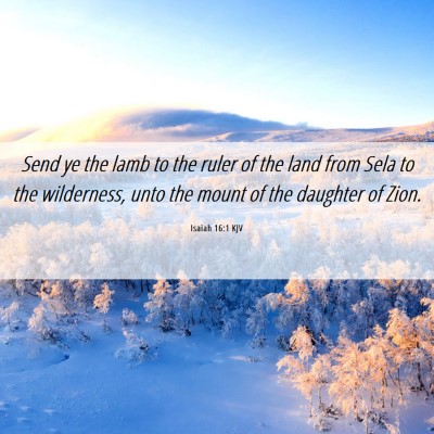 Picture 06 - Isaiah 16:1 KJV - Send ye the lamb to the ruler of the land from - Bible Verse Picture