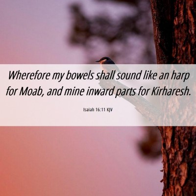 Picture 06 - Isaiah 16:11 KJV - Wherefore my bowels shall sound like an harp for - Bible Verse Picture