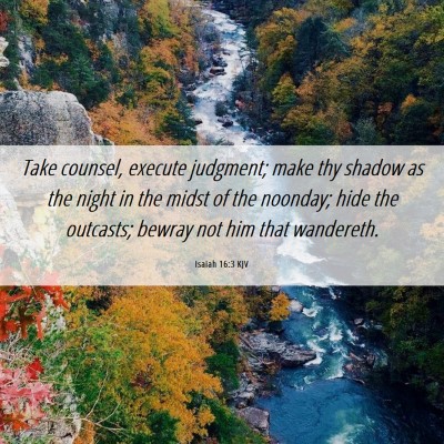 Picture 06 - Isaiah 16:3 KJV - Take counsel, execute judgment; make thy shadow - Bible Verse Picture