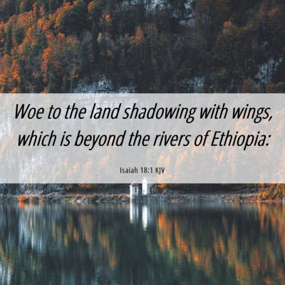 Picture 06 - Isaiah 18:1 KJV - Woe to the land shadowing with wings, which is - Bible Verse Picture
