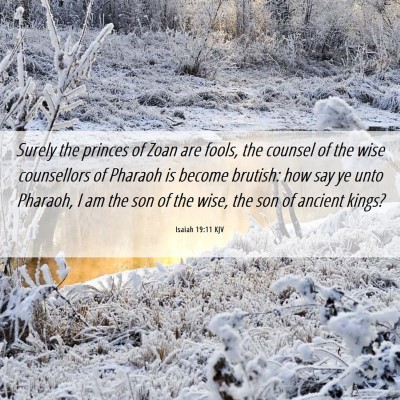 Picture 06 - Isaiah 19:11 KJV - Surely the princes of Zoan are fools, the counsel - Bible Verse Picture