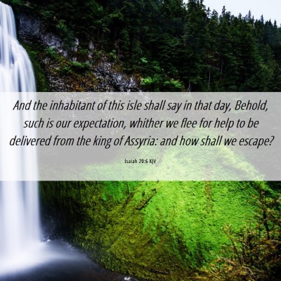 Picture 06 - Isaiah 20:6 KJV - And the inhabitant of this isle shall say in that - Bible Verse Picture