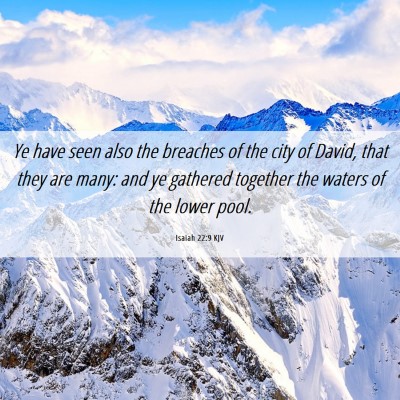 Picture 06 - Isaiah 22:9 KJV - Ye have seen also the breaches of the city of - Bible Verse Picture