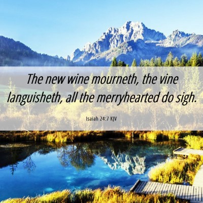 Picture 06 - Isaiah 24:7 KJV - The new wine mourneth, the vine languisheth, all - Bible Verse Picture