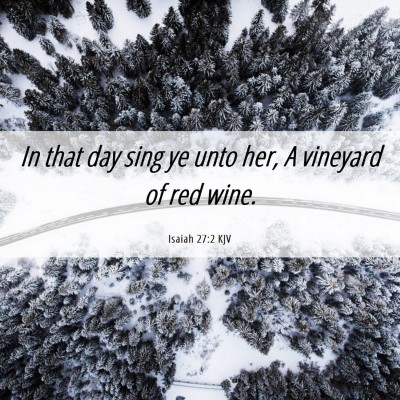 Picture 06 - Isaiah 27:2 KJV - In that day sing ye unto her, A vineyard of red - Bible Verse Picture