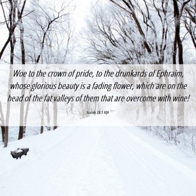 Picture 06 - Isaiah 28:1 KJV - Woe to the crown of pride, to the drunkards of - Bible Verse Picture