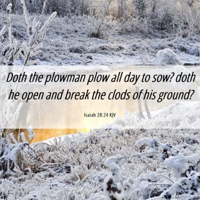 Picture 06 - Isaiah 28:24 KJV - Doth the plowman plow all day to sow? doth he - Bible Verse Picture