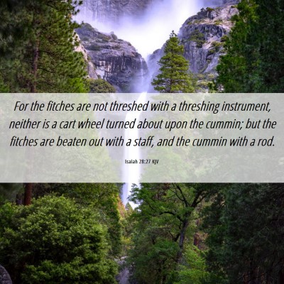 Picture 06 - Isaiah 28:27 KJV - For the fitches are not threshed with a threshing - Bible Verse Picture