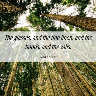 Picture 06 - Isaiah 3:23 KJV - The glasses, and the fine linen, and the hoods, - Bible Verse Picture
