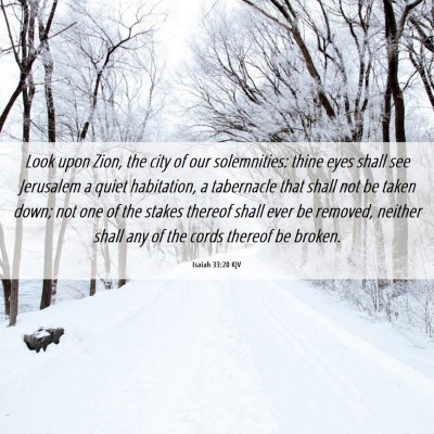 Picture 06 - Isaiah 33:20 KJV - Look upon Zion, the city of our solemnities: - Bible Verse Picture