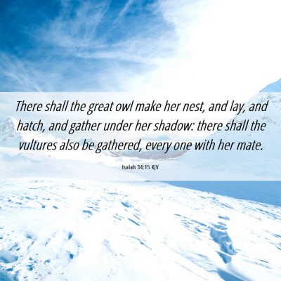 Picture 06 - Isaiah 34:15 KJV - There shall the great owl make her nest, and lay, - Bible Verse Picture