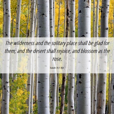 Picture 06 - Isaiah 35:1 KJV - The wilderness and the solitary place shall be - Bible Verse Picture