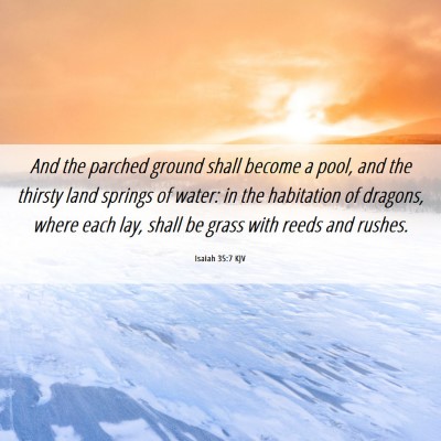 Picture 06 - Isaiah 35:7 KJV - And the parched ground shall become a pool, and - Bible Verse Picture