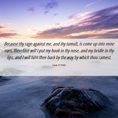 Picture 06 - Isaiah 37:29 KJV - Because thy rage against me, and thy tumult, is - Bible Verse Picture