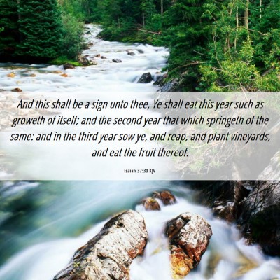 Picture 06 - Isaiah 37:30 KJV - And this shall be a sign unto thee, Ye shall eat - Bible Verse Picture