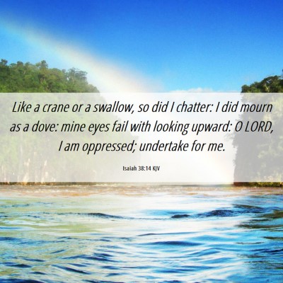 Picture 06 - Isaiah 38:14 KJV - Like a crane or a swallow, so did I chatter: I - Bible Verse Picture