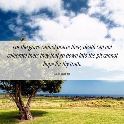 Picture 06 - Isaiah 38:18 KJV - For the grave cannot praise thee, death can not - Bible Verse Picture