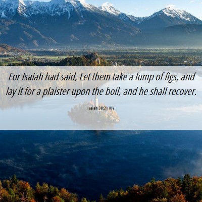 Picture 06 - Isaiah 38:21 KJV - For Isaiah had said, Let them take a lump of - Bible Verse Picture