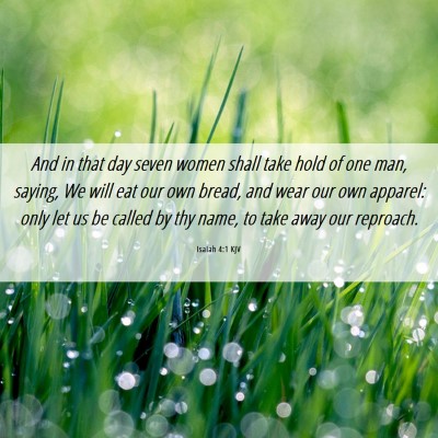 Picture 06 - Isaiah 4:1 KJV - And in that day seven women shall take hold of - Bible Verse Picture
