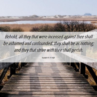 Picture 06 - Isaiah 41:11 KJV - Behold, all they that were incensed against thee - Bible Verse Picture
