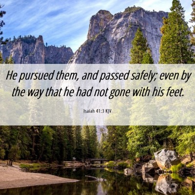 Picture 06 - Isaiah 41:3 KJV - He pursued them, and passed safely; even by the - Bible Verse Picture