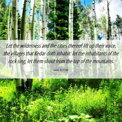 Picture 06 - Isaiah 42:11 KJV - Let the wilderness and the cities thereof lift up - Bible Verse Picture