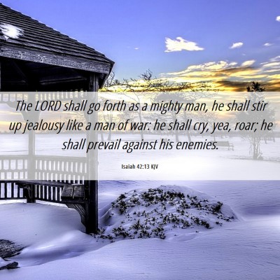 Picture 06 - Isaiah 42:13 KJV - The LORD shall go forth as a mighty man, he shall - Bible Verse Picture