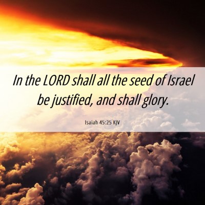 Picture 06 - Isaiah 45:25 KJV - In the LORD shall all the seed of Israel be - Bible Verse Picture