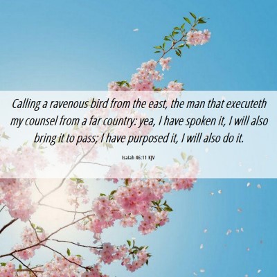 Picture 06 - Isaiah 46:11 KJV - Calling a ravenous bird from the east, the man - Bible Verse Picture